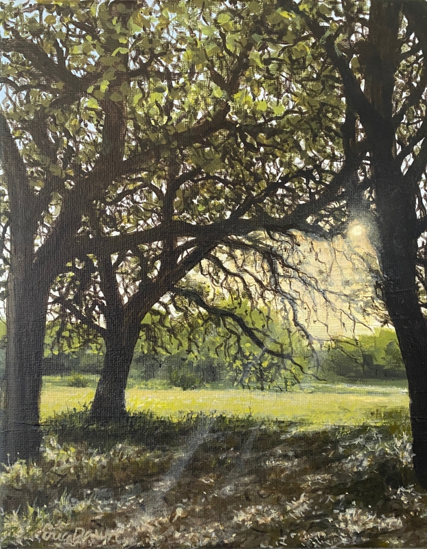 Shadow Sanctuary by artist Erica Dawn Smith